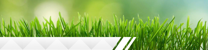 lawn maintenance